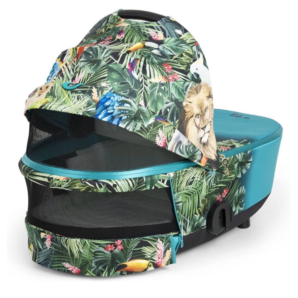 Blue and Green Carry Cot